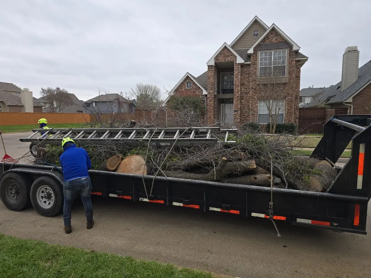 Expert Tree Fertilization with proper safety equipment in Lawrenceburg